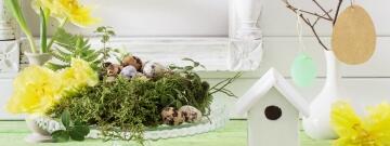Erhöhen Sie Ihr Osterfest mit exquisiten Wachteleiern zu Ostern: Eine entzückende Variante zum Osterfest